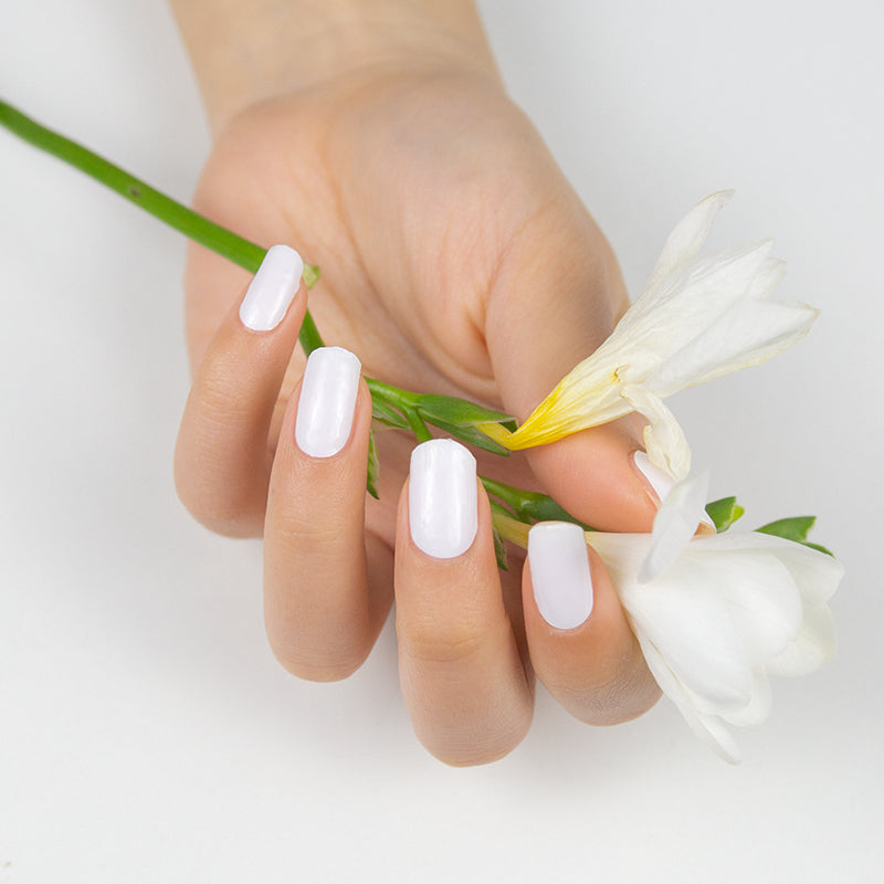 Blanco Sólido | GEL