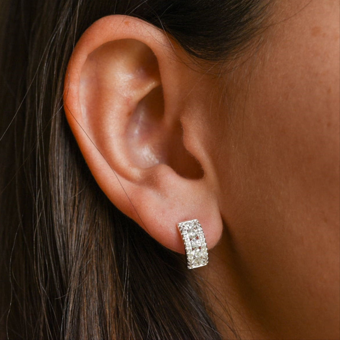 Aros Silvia Plata y Circones