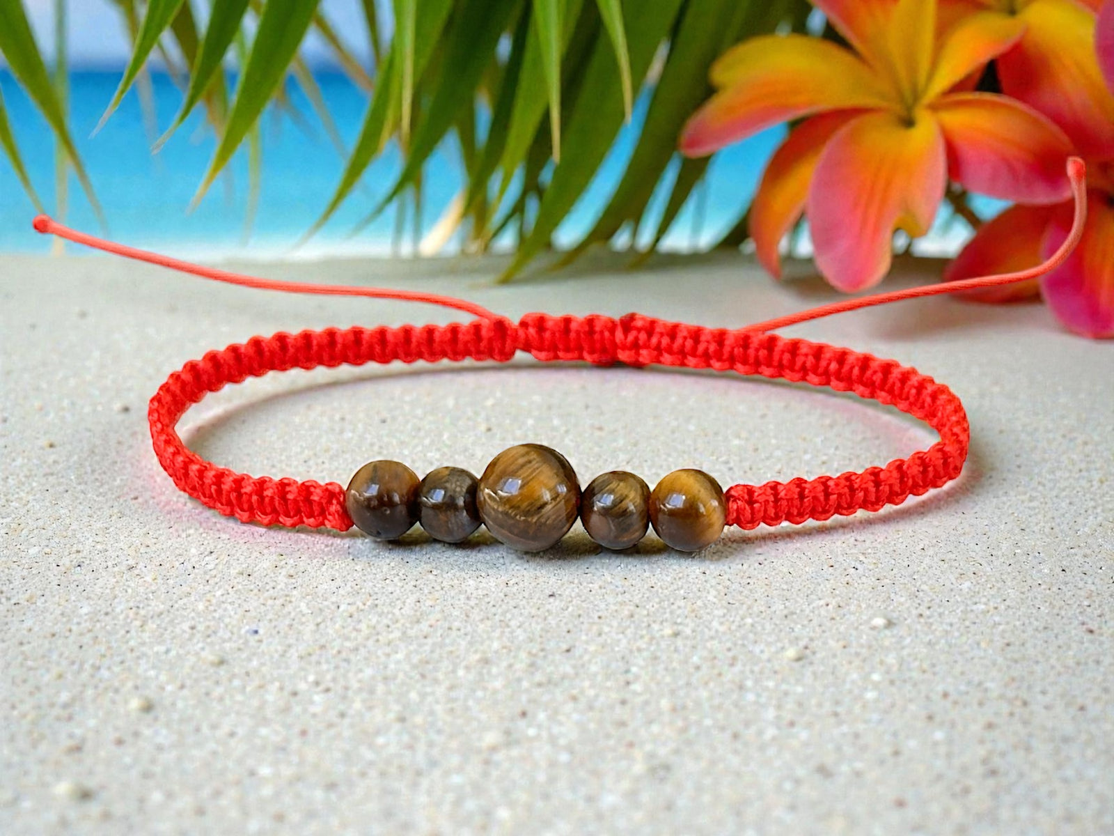 Kit Todo en Uno - Edición Summer 🌴