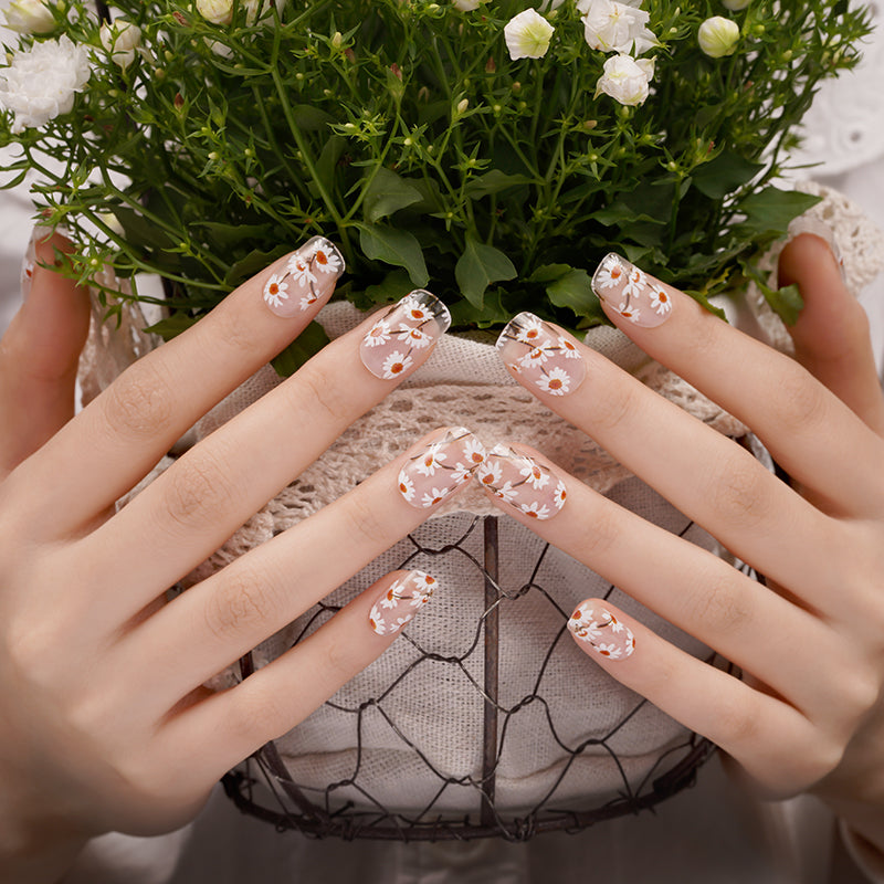 Clear Daisy | Stickers de Esmalte