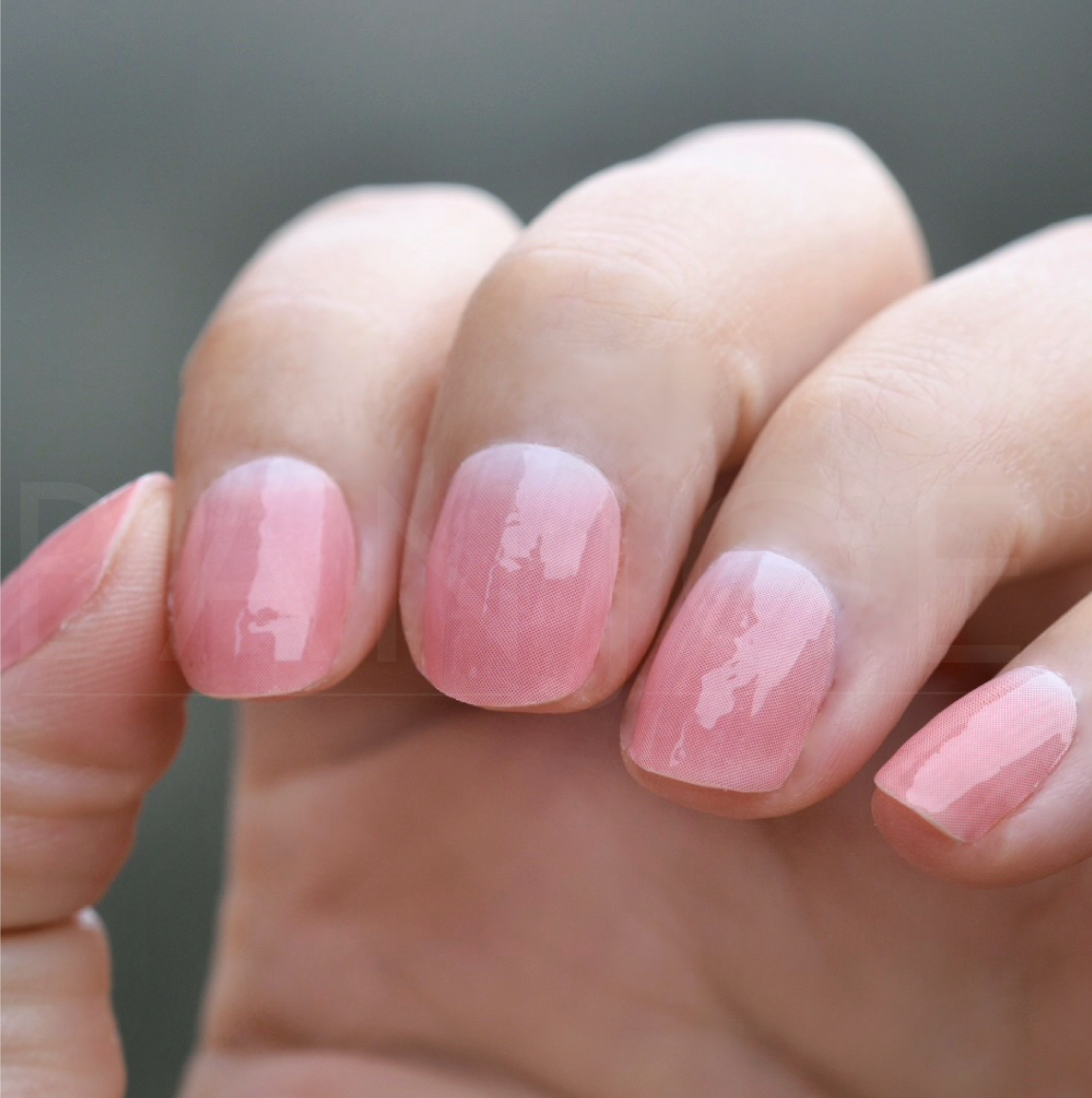 Degradé Rosa Traslúcido | Stickers de Esmalte